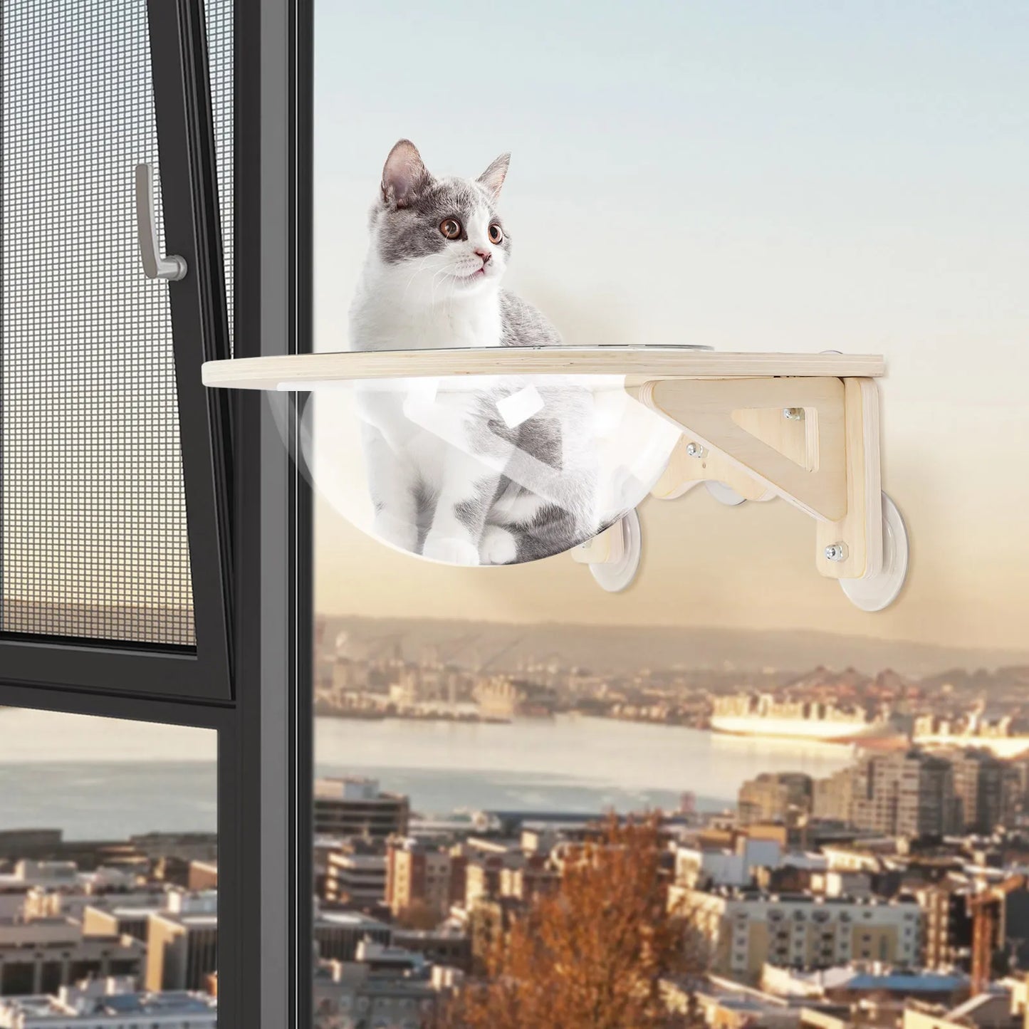 Clear Cat House Wall-Mounted Wooden Cat Space Capsule Clear Capsule Kitten Walls Shelves 15.75inch Load-bearing Up to 16.53lbs